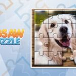 عالم الأحاجي: تجميع الصور (Jigsaw Puzzle)