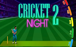 ليلة الكريكيت 2 (Cricket Night 2)
